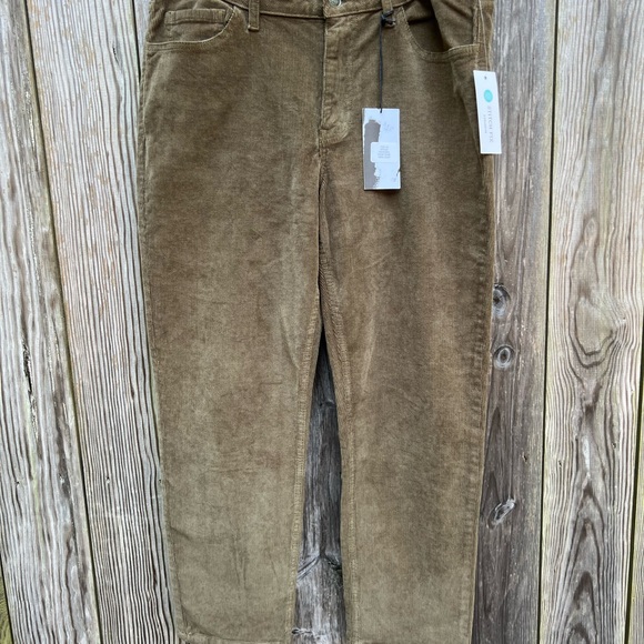 NWT Studio Blue Stitch Fix Dark Olive Straight Leg Corduroy Pants Sz 33 - Picture 2 of 12